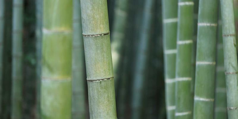 复古风格下的技术革新：揭秘蓝博科技高并发实时数据中台架构解决方案