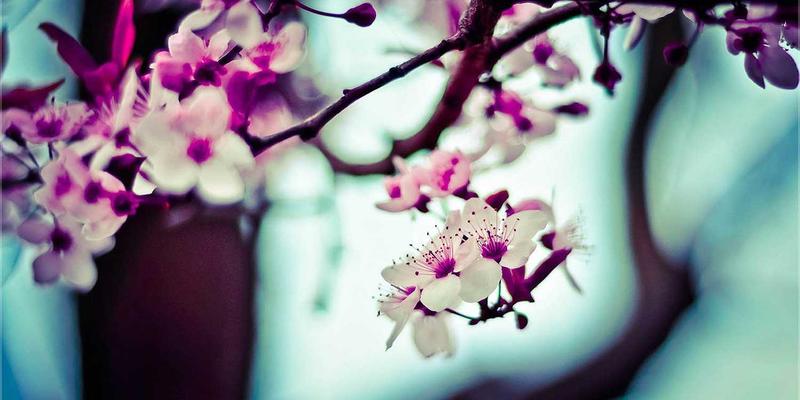 复古风格邂逅现代网络技术：基于蓝博科技低代码平台的企业业务流程自动化构建指南