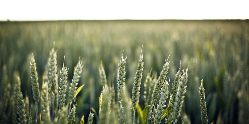 当复古美学遇见未来科技：蓝博科技RPA软件开发如何重塑金融行业的合规与效率