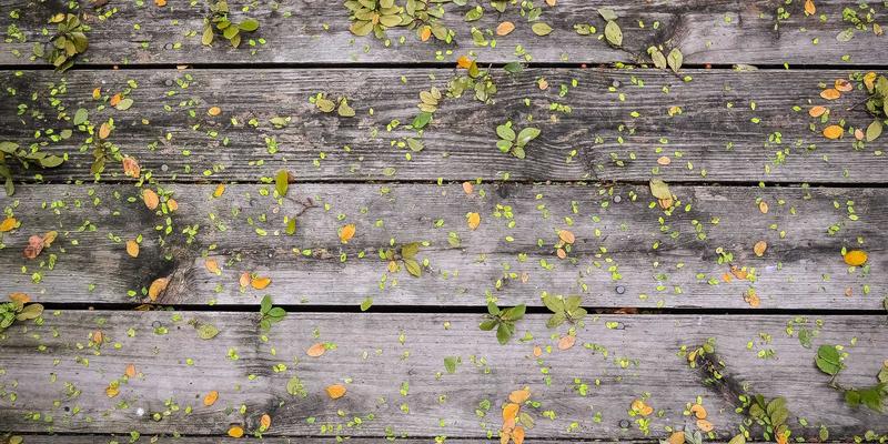 蓝博科技66：以创新网络技术与软件开发驱动数字化转型新浪潮