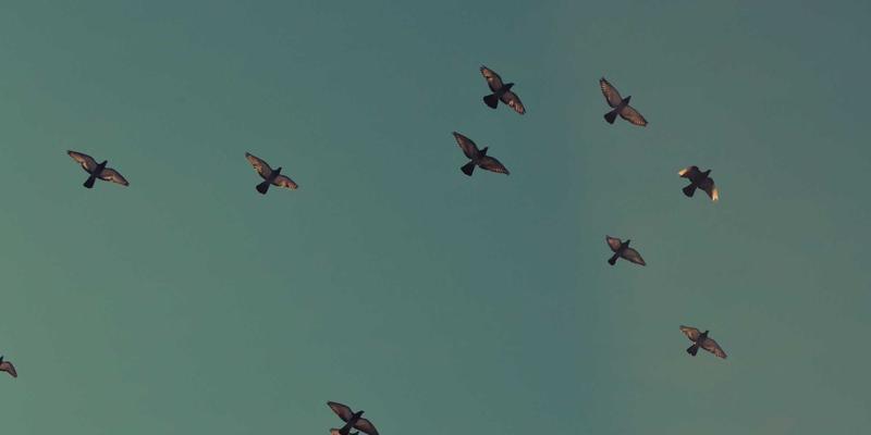 蓝博科技71：以创新技术解决方案赋能企业数字化转型