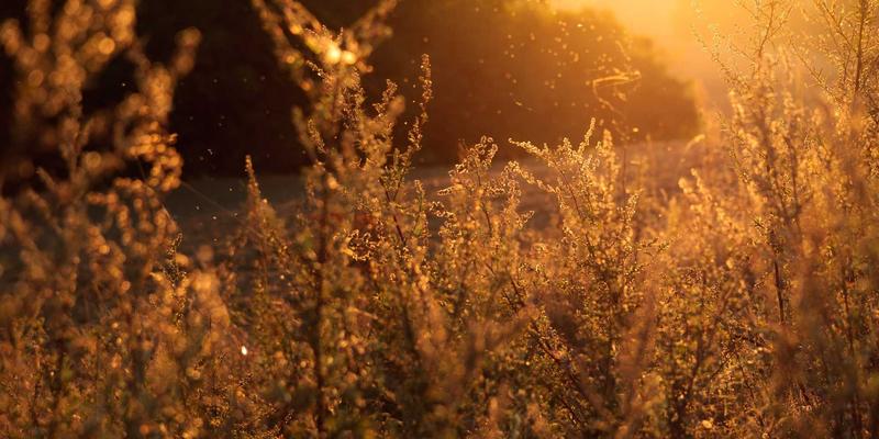 蓝博科技74：当复古美学遇上尖端网络技术的跨界革命