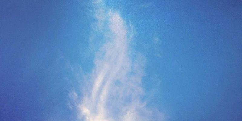 蓝博科技77：以网络技术与软件开发双轮驱动，赋能企业数字化转型