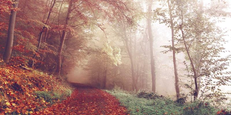 蓝博科技78:当复古风格邂逅前沿网络技术,一场数字美学的复兴