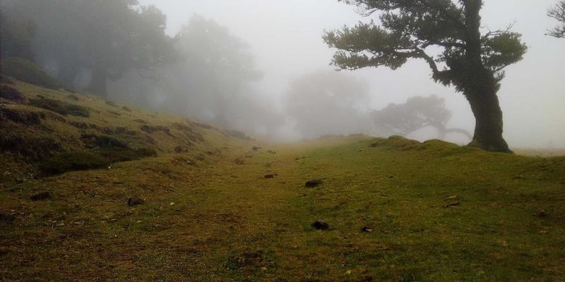 蓝博科技DevOps实践：融合复古开发理念与现代自动化工具链的技术解决方案