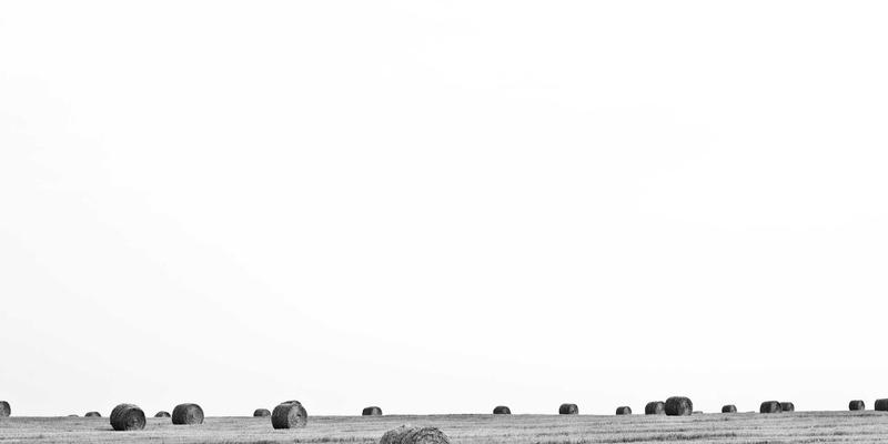 蓝博科技：以软件开发与技术解决方案驱动能源行业智能化巡检运维变革