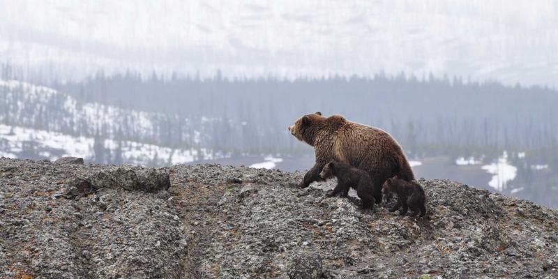 蓝博科技：以软件开发与网络技术双轮驱动，赋能企业数字化转型