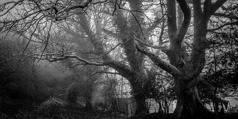 蓝博科技教程:掌握网络技术与软件开发的核心路径