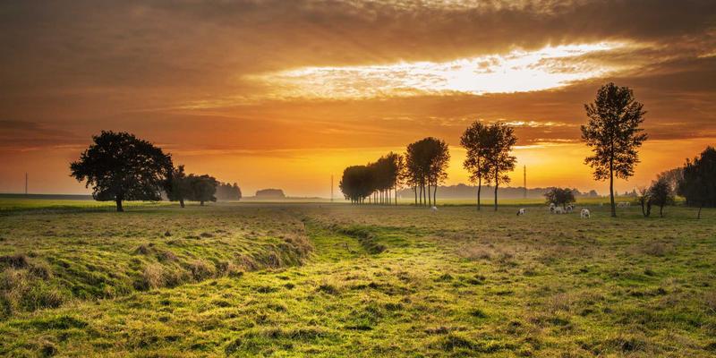 蓝博科技数字孪生技术：以复古风格网络技术，重塑智慧园区全生命周期管理