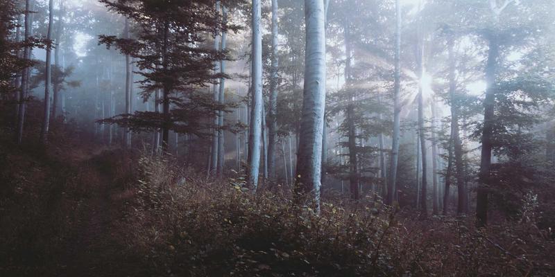 蓝博科技数字孪生技术解决方案：赋能智慧工厂全生命周期管理的网络技术革命