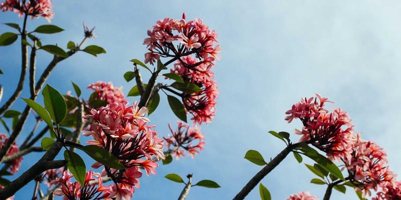 蓝博科技智慧医疗技术解决方案：边缘计算如何重塑数据隐私保护新范式