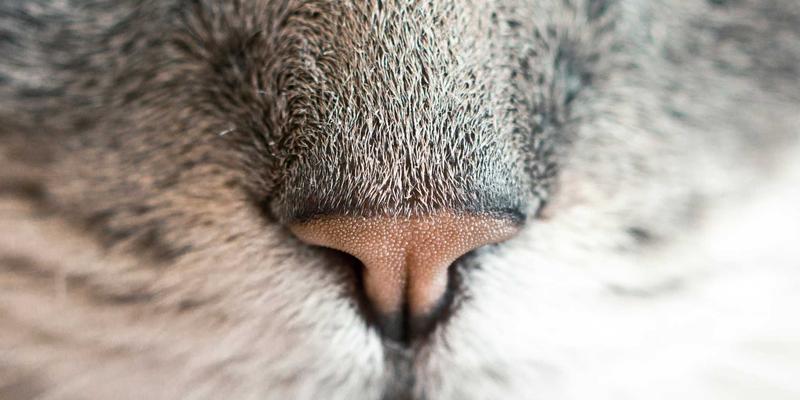 蓝博科技智慧园区整体解决方案：以创新技术解决方案驱动园区数字化转型