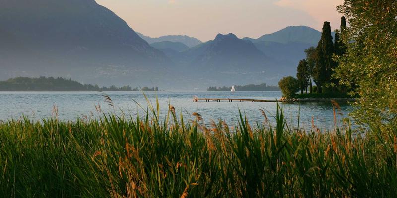 蓝博科技案例分析:当复古美学遇上尖端技术解决方案