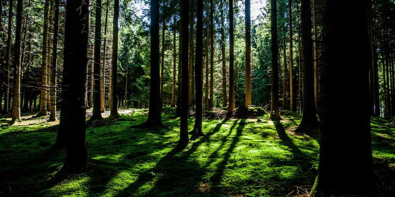 蓝博科技深度评测：软件开发与技术解决方案的行业标杆