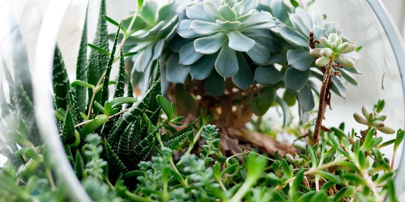 蓝博科技隐私计算技术解决方案：如何在数据融合中构建安全屏障